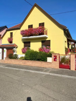 ALSACE Gite indépendant jardin près Colmar Eguisheim,